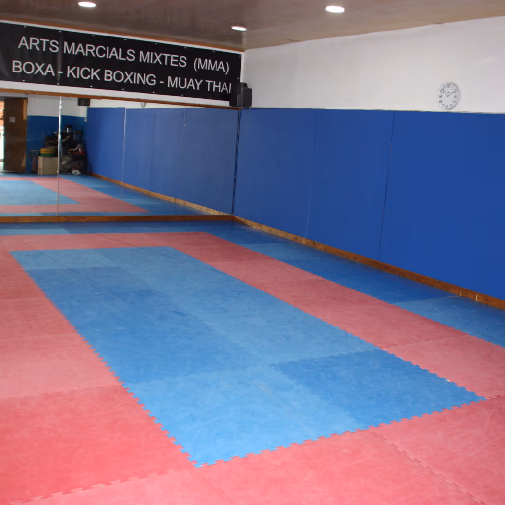 Tatami per a arts marcials