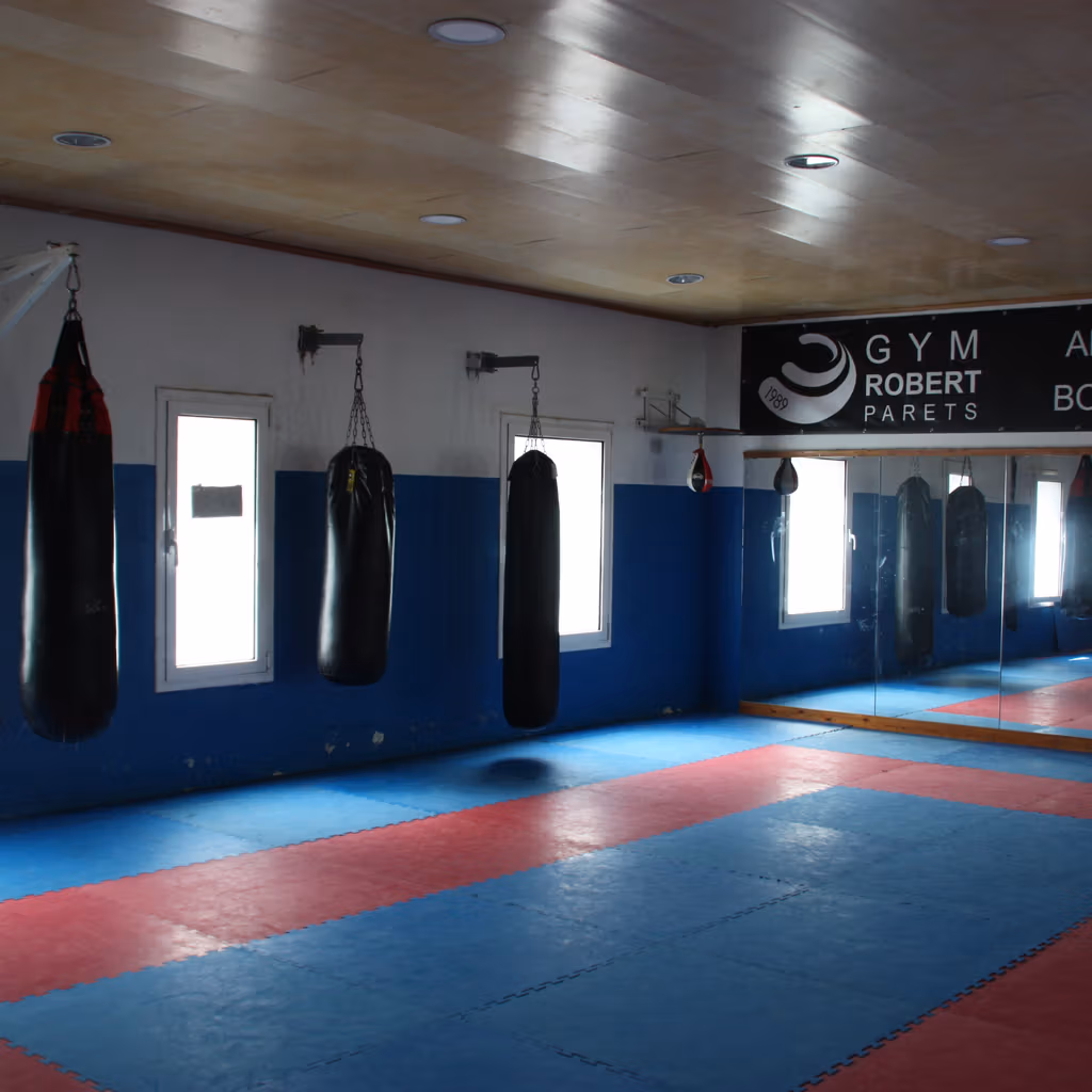 Superfície de tatami per a entrenament